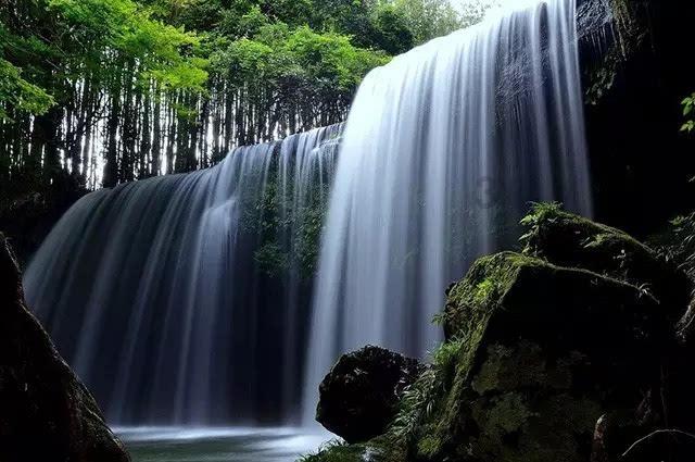 滨江房产&杭州地铁未科项目规划8幢高层 均价3.61万/㎡